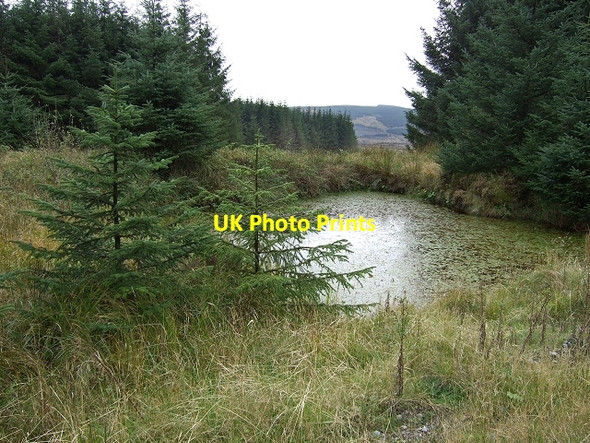 Photo 6"x4" Pond next to Rhondda Community Route, Chwarelau Blaencorrwg Blaenrhondda c2008 P1