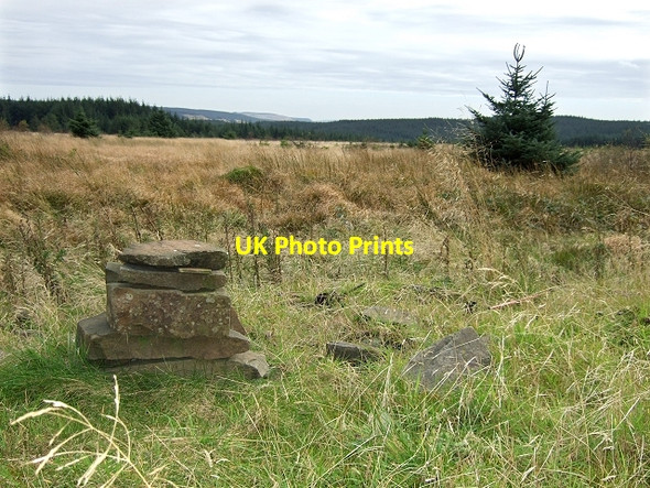 Photo 6"x4" Between a Rock and a Tree place, Garn Goch Blaenrhondda c2008