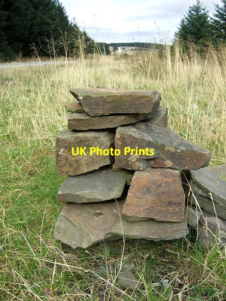 Photo 6"x4" Loops & Links Trail, Garn Goch Blaenrhondda c2008