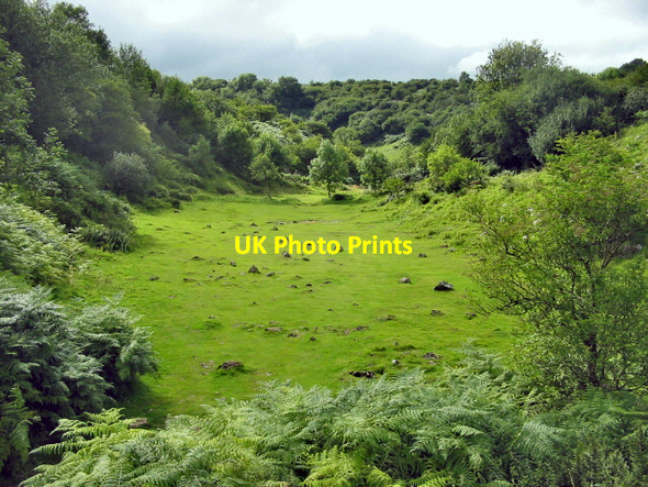 Photo 6"x4" Velvet Bottom Charterhouse\/ST5055 c2008 P1