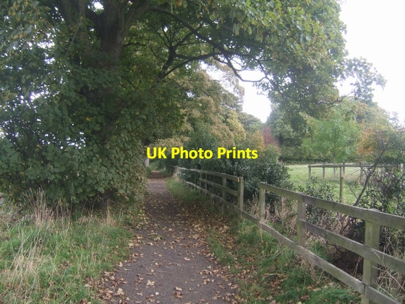 Photo 6"x4" Along the Monarch's Way Bushbury\/SJ9203 c2008