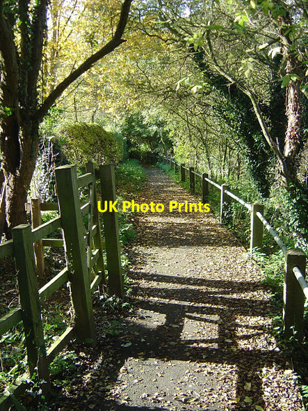Photo 6"x4" Footpath to the church Lowdham c2008