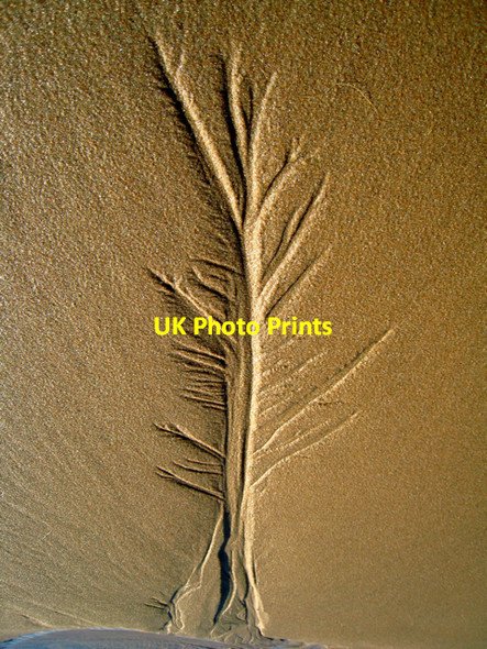 Photo 6"x4" Newburgh: The beach at Foveran Links Newburgh\/NJ9925 c2008