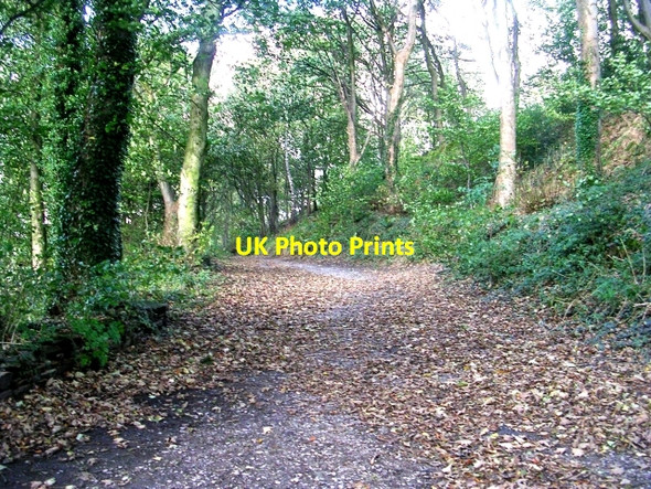 Photo 6"x4" Footpath - Grange Road, Farnhill Farnhill c2008
