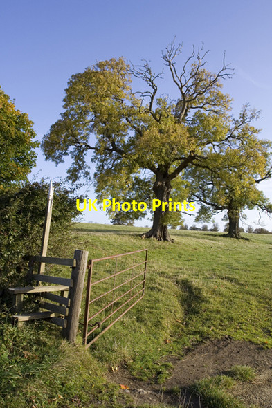 Photo 6"x4" The footpath towards the castle Snape\/SE2684 c2008