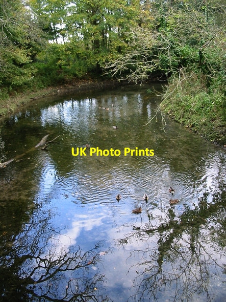 Photo 6"x4" Looking E along river from Swanbourne Lake Arundel c2008