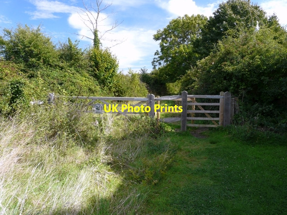 Photo 6"x4" Footpath to Walters Copse, Newtown Newtown\/SZ4290 c2008