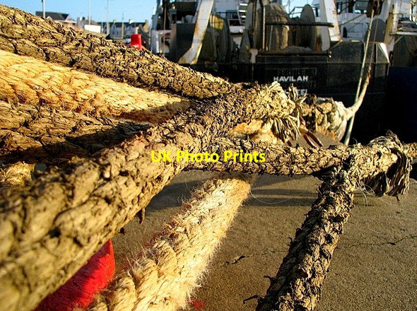 Photo 6"x4" Mooring ropes, Eisenhower Pier [detail] Bangor\/J5081 c2008 P1