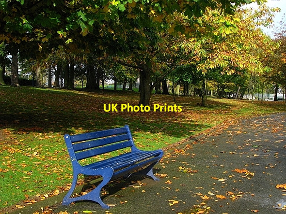 Photo 6"x4" Autumn in Ward Park Bangor\/J5081 c2008