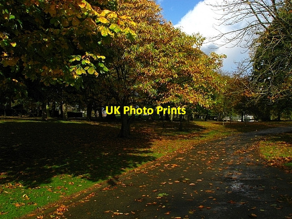 Photo 6"x4" Autumn in Ward Park Bangor\/J5081 c2008 P1