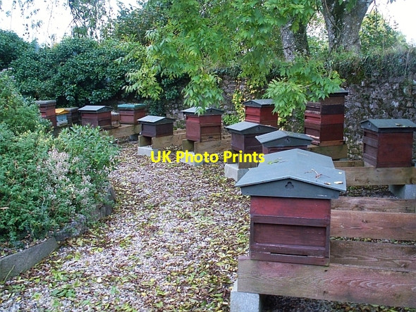 Photo 6"x4" The Bee Garden Llanddarog c2008
