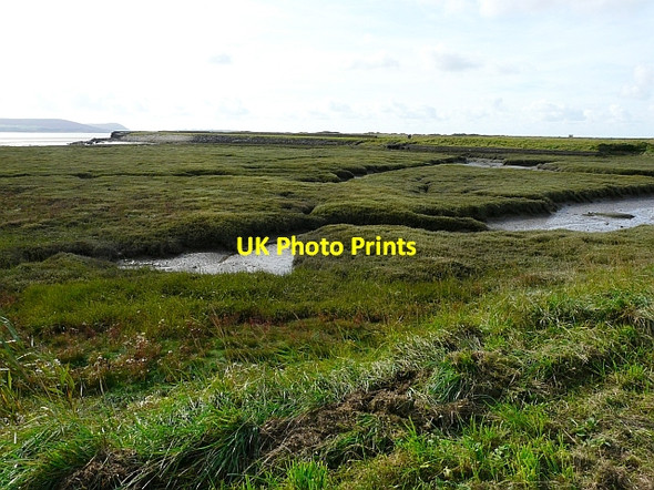 Photo 6"x4" Salt marsh in the abandoned Pembrey Harbour Burry Port\/Porth Tywyn c2008