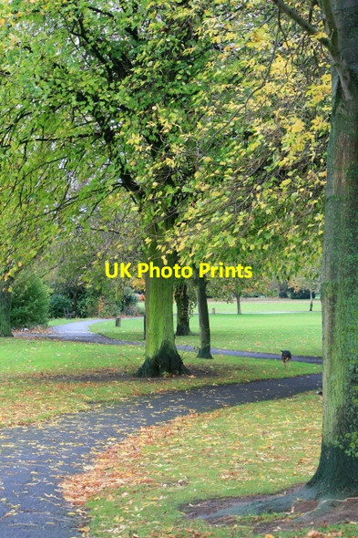 Photo 6"x4" Winding Path in West Park Long Eaton c2008