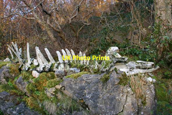 Photo 6"x4" An t-\u00c3\u0092rd: stranded water horse Tokavaig\/T\u00f2cabhaig c2008