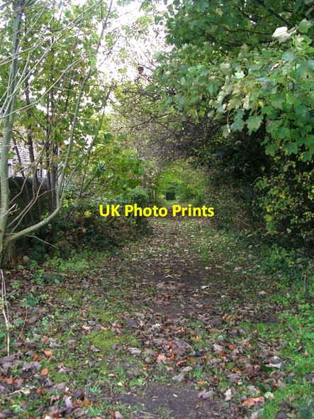 Photo 6"x4" Footpath - Rodley Lane, Rodley Calverley c2008