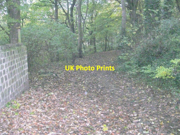 Photo 6"x4" Bridleway from Carr Road to Apperley Bridge Apperley Bridge c2008