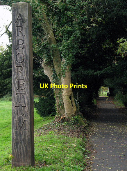 Photo 6"x4" Arboretum, Barnetts Demesne Dunmurry c2008