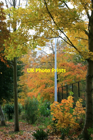 Photo 6"x4" West Park and Trent College Trees in Autumn Colour Long Eaton c2008