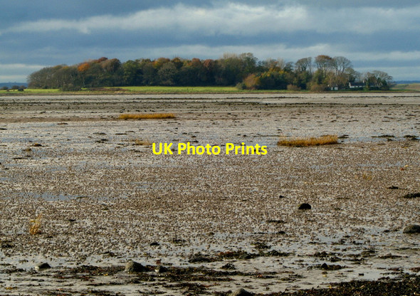 Photo 6"x4" Towards Mid Island, Strangford Lough Greyabbey c2008