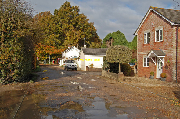 Photo 6"x4" Camel Green Road, Alderholt, Dorset Fordingbridge c2008