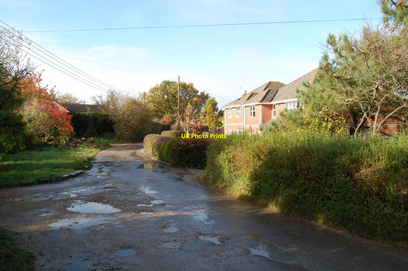 Photo 6"x4" Camel Green Road, Alderholt, Dorset Fordingbridge c2008