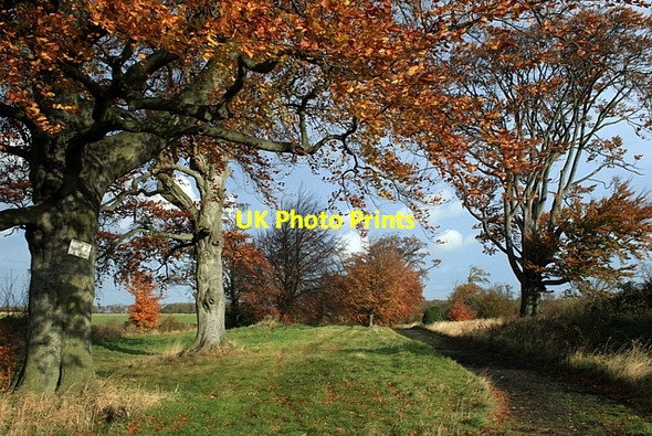 Photo 6"x4" Ledston estate ride Ledston c2008