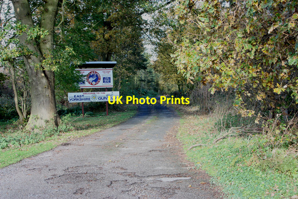 Photo 6"x4" Track through Bygot Wood Leconfield c2008