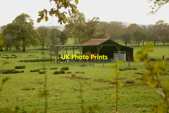 Photo 6"x4" The barn in the field Cwmbach Llechrhyd c2008