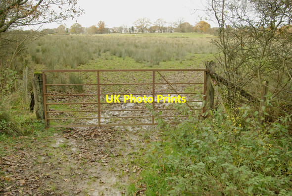 Photo 6"x4" Gate to rough pasture Cwmbach Llechrhyd c2008