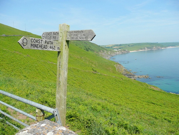 Photo 6"x4" Pointing the way Bickerton\/SX8138 c2009