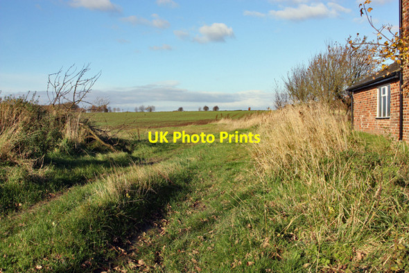 Photo 6"x4" Cawkeld Field Cawkeld c2008