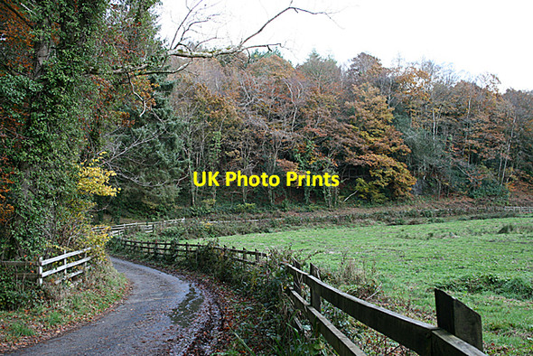 Photo 6"x4" Road to Lamorran Lamorran c2008