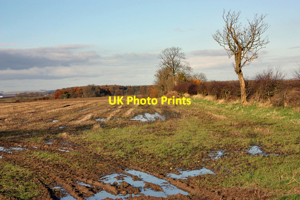 Photo 6"x4" A wet field near Hutton Cranswick Cranswick c2008