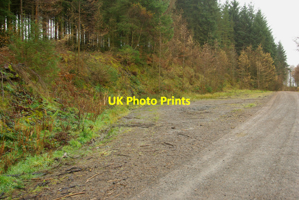 Photo 6"x4" Passing place in Garth Wood Garth\/SN9549 c2008