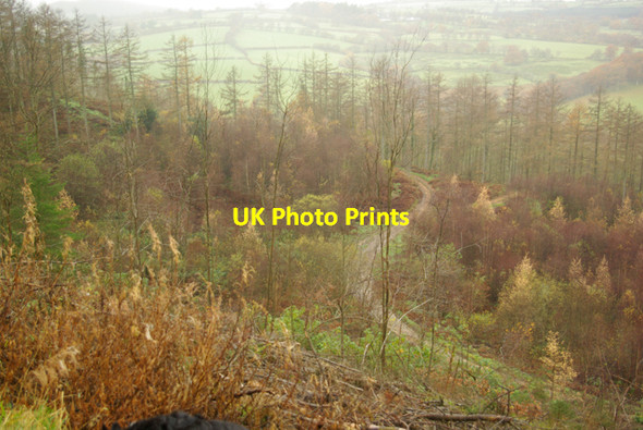 Photo 6"x4" Looking down to the Old Quarry Garth\/SN9549 c2008