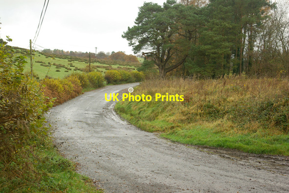 Photo 6"x4" The old A483 south Garth\/SN9549 c2008