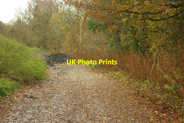 Photo 6"x4" The old A483 north Garth\/SN9549 c2008