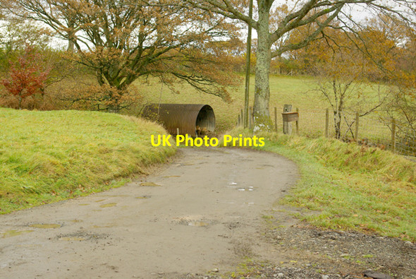 Photo 6"x4" Track to the Cornel Cilmery c2008
