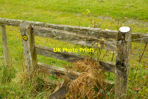 Photo 6"x4" Are you sure its left Builth Wells\/Llanfair-Ym-Muallt c2008