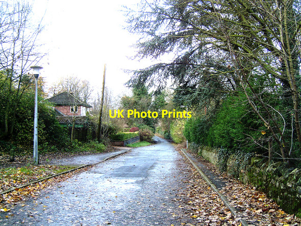 Photo 6"x4" Shrubbery Road Ketley Telford c2008