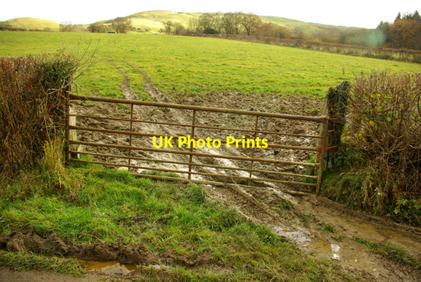 Photo 6"x4" Muddy entrance near Trecoed Crossway\/SO0558 c2008