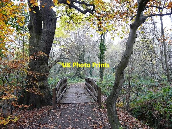 Photo 6"x4" Footbridge, Kingmoor (South) Nature Reserve Etterby c2008