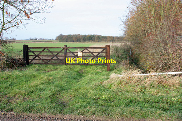 Photo 6"x4" Towards Old Fox Covert Plantation Cranswick c2008