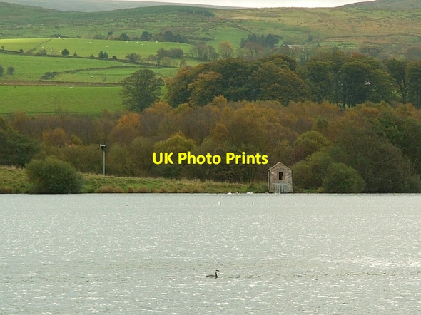 Photo 6"x4" Looking across Talkin Tarn to the bird observatory Farlam c2008