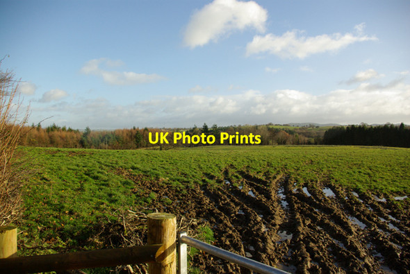 Photo 6"x4" Another muddy entrance Llanafan-fawr c2008