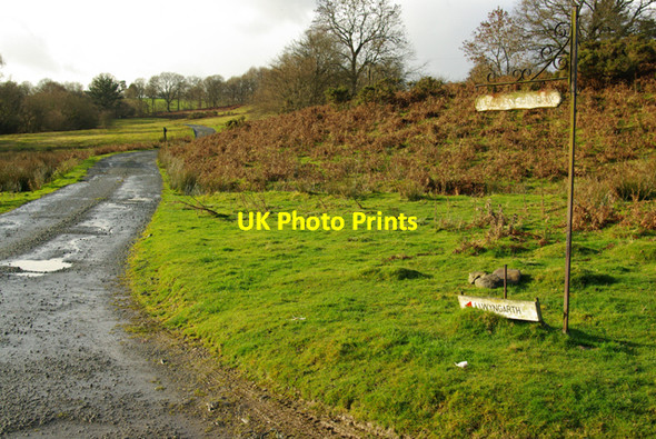 Photo 6"x4" Roadway to Affallenchwerw and Llwyngarth Pentre-llwyn-llwyd c2008