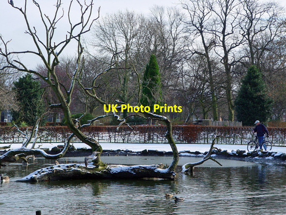 Photo 6"x4" Snowy Pearson Park Kingston upon Hull c2004