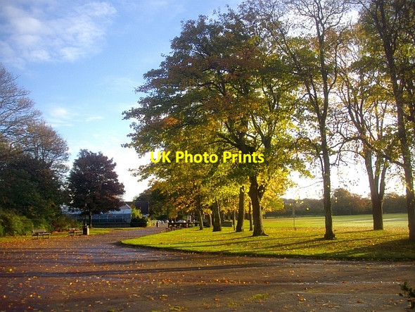Photo 6"x4" Trees in Duthie Park Aberdeen\/NJ9206 c2008