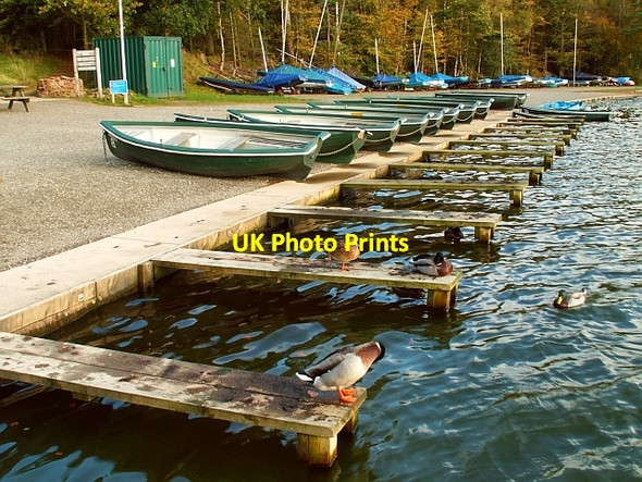 Photo 6"x4" Boats and ducks at Talkin Tarn Farlam c2008