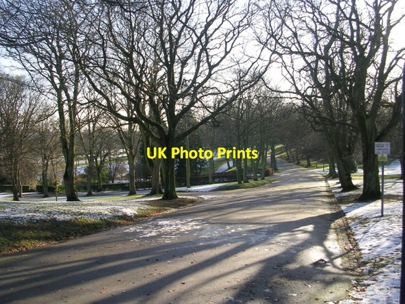 Photo 6"x4" Lister Park - viewed from Emm Lane Shipley\/SE1437 c2008